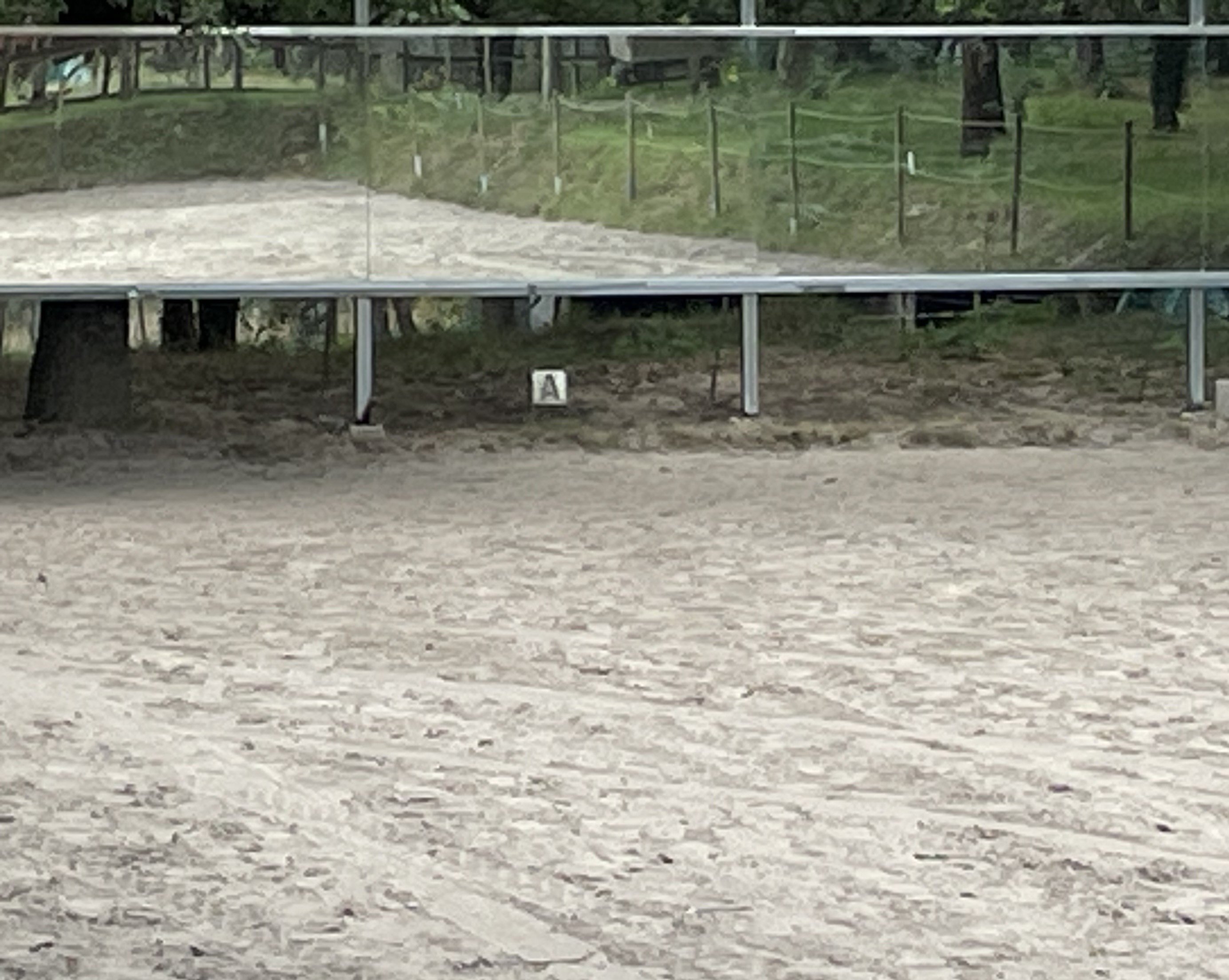 Placement 20 m de miroirs de dressage en carrière ou manège